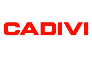 Cadivi-Logo.png